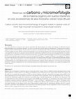 Research paper thumbnail of Reservas de carbono y micromorfología de la materia orgánica en suelos ribereños en tres ecosistemas de alta montaña: volcán Iztaccíhuatl