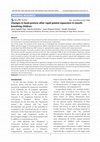 Research paper thumbnail of Changes in head posture after rapid palatal expansion in mouth-breathing children