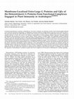 Research paper thumbnail of Membrane-Localized Extra-Large G Proteins and Gβγ of the Heterotrimeric G Proteins Form Functional Complexes Engaged in Plant Immunity in Arabidopsis