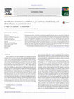 Research paper thumbnail of Identification of deleterious nsSNPs in α, μ, π and θ class of GST family and their influence on protein structure