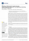 Research paper thumbnail of Modeling a Metamorphic Aquifer through a Hydro-Geophysical Approach: The Gap between Field Data and System Complexity