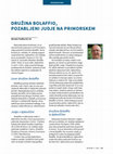 Research paper thumbnail of DRUŽINA BOLAFFIO, POZABLJENI JUDJE NA PRIMORSKEM