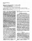 Research paper thumbnail of Mutant 16S ribosomal RNA: a codon-specific translational suppressor