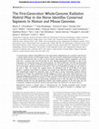 Research paper thumbnail of The First-Generation Whole-Genome Radiation Hybrid Map in the Horse Identifies Conserved Segments in Human and Mouse Genomes