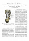 Research paper thumbnail of Materials and Mechanics of Vertebrates : insight from comparative anatomy, histology, pathology and surgery