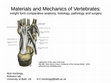 Research paper thumbnail of Materials and Mechanics of Vertebrates insight form comparative anatomy, histology, pathology and surgery slides