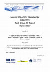 Research paper thumbnail of Marine Strategy Framework Directive Task Group 10 Report: Marine litter