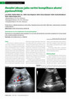 Research paper thumbnail of Renální absces jako raritní komplikace akutní pyelonefritidy