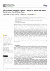 Research paper thumbnail of The Economic Impact of Climate Change on Wheat and Maize Yields in the North China Plain