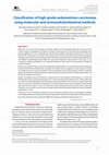 Research paper thumbnail of Classification of high-grade endometrium carcinomas using molecular and immunohistochemical methods