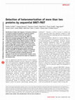 Research paper thumbnail of Detection of heteromerization of more than two proteins by sequential BRET-FRET