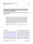 Research paper thumbnail of First report of the lower dentition of Siamotherium pondaungensis (Cetartiodactyla, Hippopotamoidea) from the late middle Eocene Pondaung Formation, Myanmar