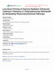 Research paper thumbnail of Low-dose Priming of Gamma Radiation Enhanced Cadmium Tolerance in Chlamydomonas Reinhardtii by Modulating Physio-biochemical Pathways