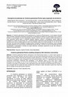 Research paper thumbnail of Emergência de plântulas de Colubrina glandulosa Perkins após superação da dormência