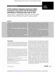 Research paper thumbnail of Data from mTOR Inhibition Mitigates Enhanced mRNA Translation Associated with the Metastatic Phenotype of Osteosarcoma Cells &lt;i&gt;In Vivo&lt;/i&gt