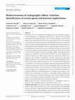 Research paper thumbnail of Biodeterioration of carbographic ribbon: Isolation, identification of causal agents and forensic implications