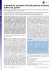 Research paper thumbnail of A dynamically assembled cell wall synthesis machinery buffers cell growth