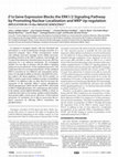 Research paper thumbnail of E1a Gene Expression Blocks the ERK1/2 Signaling Pathway by Promoting Nuclear Localization and MKP Up-regulation