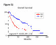 Research paper thumbnail of Supplementary Figures from Virus-positive Merkel Cell Carcinoma Is an Independent Prognostic Group with Distinct Predictive Biomarkers