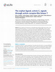 Research paper thumbnail of The orphan ligand, Activin C, signals through activin receptor-like kinase 7