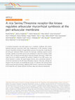 Research paper thumbnail of A rice Serine/Threonine receptor-like kinase regulates arbuscular mycorrhizal symbiosis at the peri-arbuscular membrane