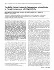 Research paper thumbnail of The AVR4 elicitor protein of Cladosporium fulvum binds to fungal components with high affinity