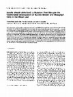 Research paper thumbnail of bundle sheath defective2, a Mutation That Disrupts the Coordinated Development of Bundle Sheath and Mesophyll Cells in the Maize Leaf