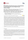 Research paper thumbnail of Investigation about the Occurrence of Transmission Cycles of Arbovirus in the Tropical Forest, Amazon Region