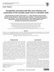 Research paper thumbnail of Encephalitis associated with Zika virus infection and reactivation of the varicella-zoster virus in a Brazilian child