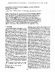 Research paper thumbnail of Direct measurements of western boundary currents off Brazil between 20°S and 28°S