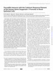 Research paper thumbnail of Pescadillo Interacts with the Cadmium Response Element of the Human Heme Oxygenase-1 Promoter in Renal Epithelial Cells