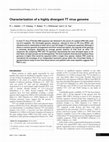 Research paper thumbnail of Characterization of a highly divergent TT virus genome