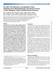 Research paper thumbnail of The miR-17/92 Polycistron Is Up-regulated in Sonic Hedgehog–Driven Medulloblastomas and Induced by N-myc in Sonic Hedgehog–Treated Cerebellar Neural Precursors