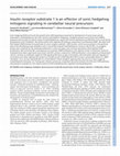 Research paper thumbnail of Insulin receptor substrate 1 is an effector of sonic hedgehog mitogenic signaling in cerebellar neural precursors