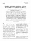 Research paper thumbnail of Hereditary Hemorrhagic Telangiectasia, a Vascular Dysplasia Affecting the TGF-  Signaling Pathway