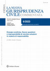 Research paper thumbnail of Energia condivisa. Nuove questioni e improponibilità di vecchie soluzioni in materia di responsabilità