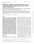 Research paper thumbnail of Differential regulation of full-length genome and a single-stranded 7S DNA along the cell cycle in human mitochondria