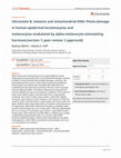 Research paper thumbnail of Ultraviolet B, melanin and mitochondrial DNA: Photo-damage in human epidermal keratinocytes and melanocytes modulated by alpha-melanocyte-stimulating hormone