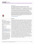 Research paper thumbnail of An Atypical Mitochondrial Carrier That Mediates Drug Action in Trypanosoma brucei