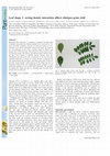 Research paper thumbnail of Leaf shape × sowing density interaction affects chickpea grain yield