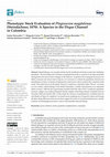 Research paper thumbnail of Phenotypic Stock Evaluation of Plagioscion magdalenae (Steindachner, 1878): A Species in the Dique Channel in Colombia