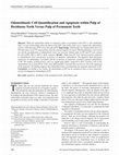 Research paper thumbnail of Odontoblastic Cell Quantification and Apoptosis within Pulp of Deciduous Teeth Versus Pulp of Permanent Teeth