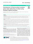 Research paper thumbnail of Development of thermo-photo sensitive genic male sterile lines in wheat using doubled haploid breeding