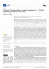 Research paper thumbnail of L-Plastin Phosphorylation: Possible Regulation by a TNFR1 Signaling Cascade in Osteoclasts