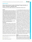 Research paper thumbnail of Shear stress induced nuclear shrinkage through activation of Piezo1 channels in epithelial cells