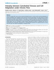 Research paper thumbnail of Interplay between Cytoskeletal Stresses and Cell Adaptation under Chronic Flow