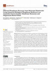 Research paper thumbnail of Efficient Phosphorus Recovery from Municipal Wastewater Using Enhanced Biological Phosphorus Removal in an Anaerobic/Anoxic/Aerobic Membrane Bioreactor and Magnesium-Based Pellets