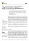 Research paper thumbnail of Tissue Culture in Ornamentals: Cultivation Factors, Propagation Techniques, and Its Application