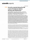 Research paper thumbnail of Aurochs roamed along the SW coast of Andalusia (Spain) during Late Pleistocene