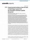 Research paper thumbnail of Experimental evidence that rill-bed morphology is governed by emergent nonlinear spatial dynamics